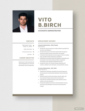 Accounts Administrator Resume