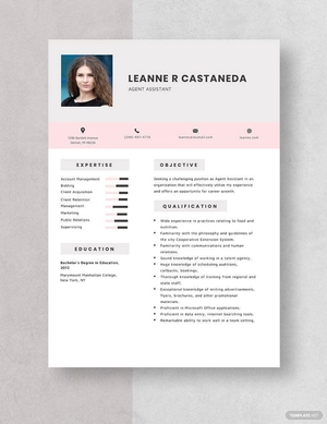 Agent Assistant Resume