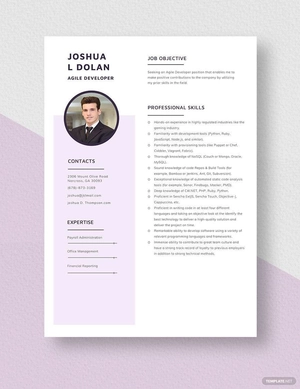 Agile Developer Resume