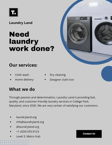Free Laundry Leaflet Template to Edit Online