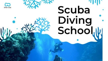 Free Scuba Diving School Presentation Template to Edit Online