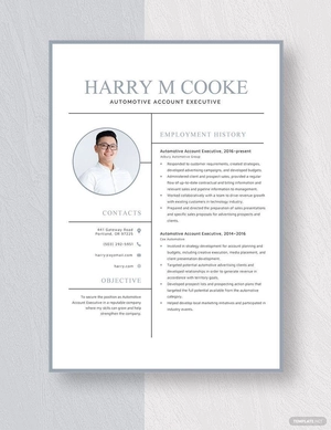 Automotive Account Executive Resume