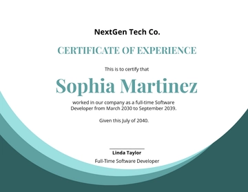 Free IT Experience Certificate Template to Edit Online