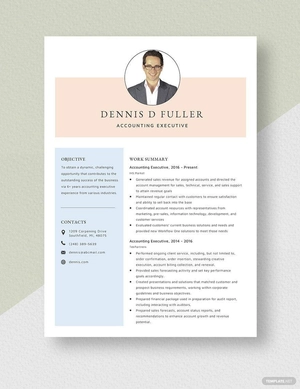 Accounting Executive Resume