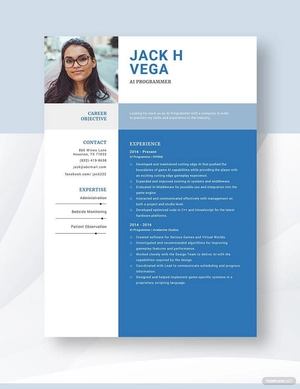 AI Programmer Resume
