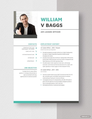 Air Liaison Officer Resume