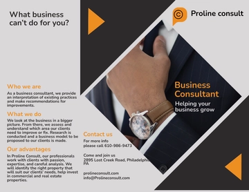 Free Business Consultant Bi-Fold Brochure Template to Edit Online