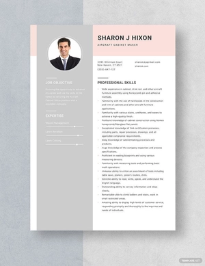 Aircraft Cabinet Maker Resume
