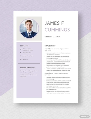Aircraft Cleaner Resume