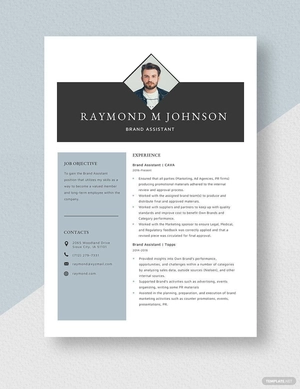 Brand Assistant Resume