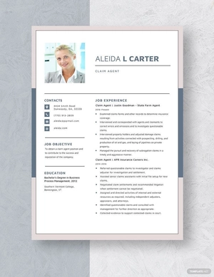 Claim Agent Resume