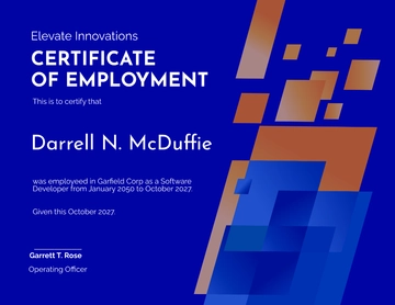 Free Experience Certificate for Software Developer Template to Edit Online