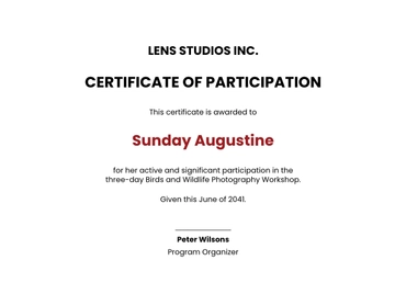 Free Photography Certificate of Participation Template to Edit Online