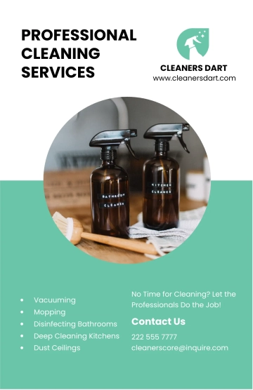 Free Professional Cleaning Services Poster Template to Edit Online