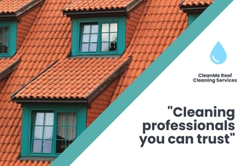Free Roof Cleaning Service EDDM Postcard Template to Edit Online