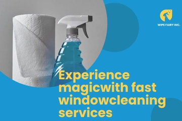 Free Window Cleaning EDDM Postcard Template to Edit Online