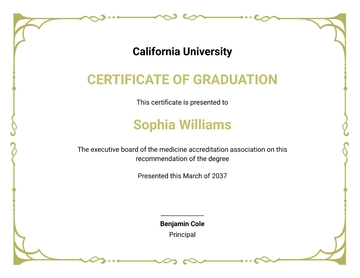 Free Transparent Certificate Border Template to Edit Online