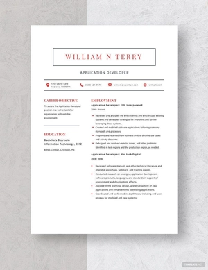 Application Developer Resume