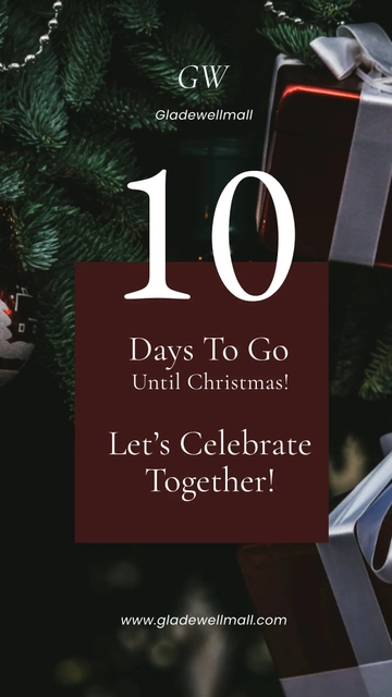 Free Christmas Countdown Instagram Story Template to Edit Online