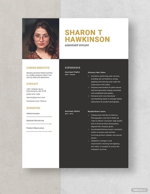 Assistant Stylist Resume