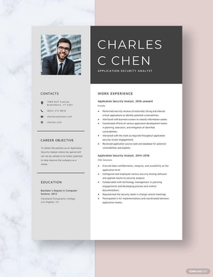Application Security Analyst Resume