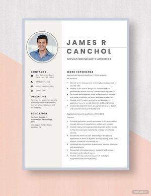Application Security Architect Resume
