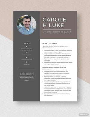 Application Security Consultant Resume