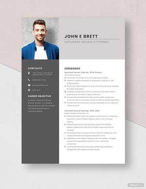 Document Review Attorney Resume