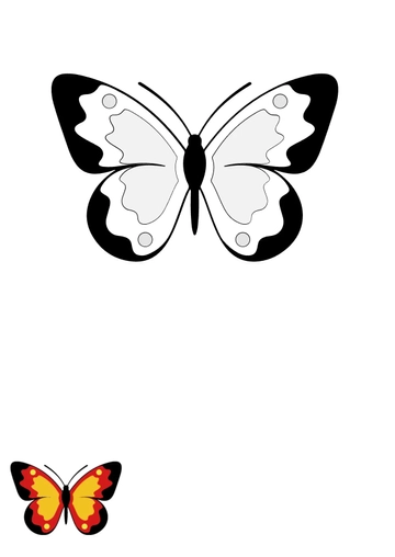 Free Small Butterfly Coloring Page Template to Edit Online