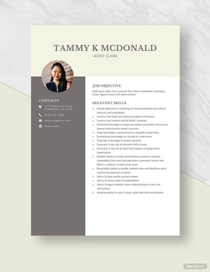 Audit Clerk Resume