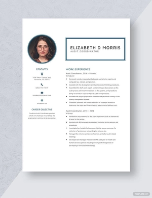 Audit Coordinator Resume