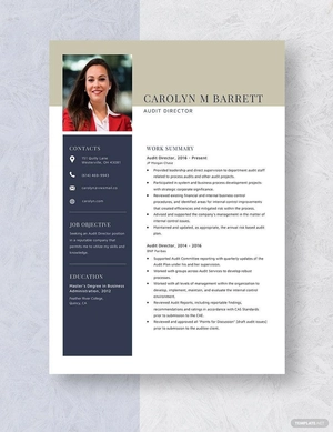 Audit Director Resume