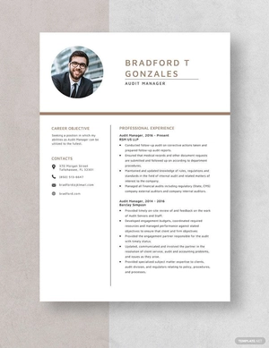 Audit Manager Resume