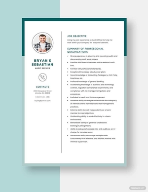 Audit Officer Resume