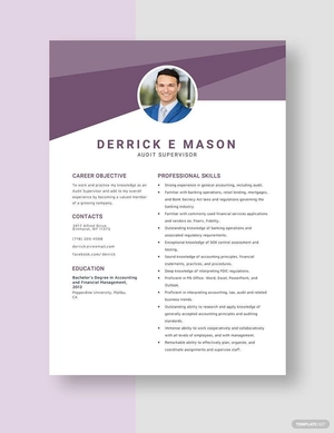 Audit Supervisor Resume