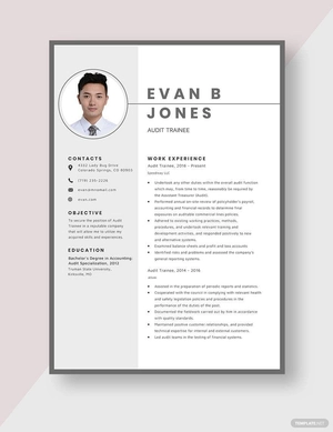 Audit Trainee Resume