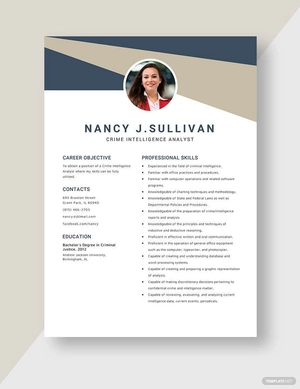 Crime Intelligence Analyst Resume