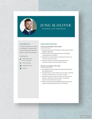 Criminal Law Paralegal Resume