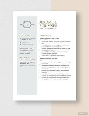 Domestic Supervisor Resume