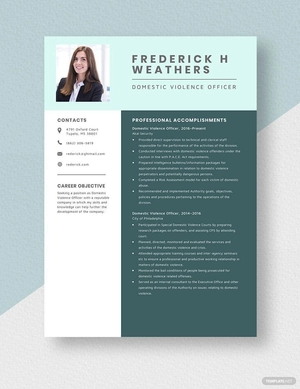 Domestic Violence Officer Resume