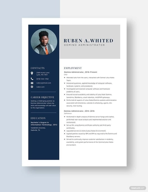 Domino Administrator Resume