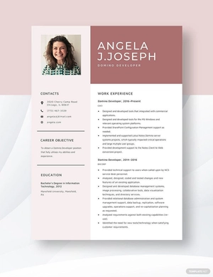 Domino Developer Resume