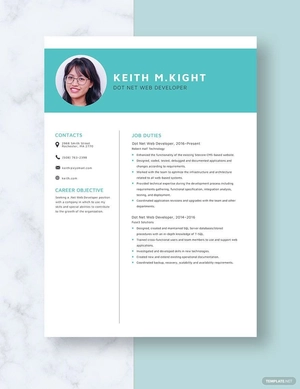 Dot Net Web Developer Resume