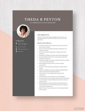 E-commerce Account Manager Resume