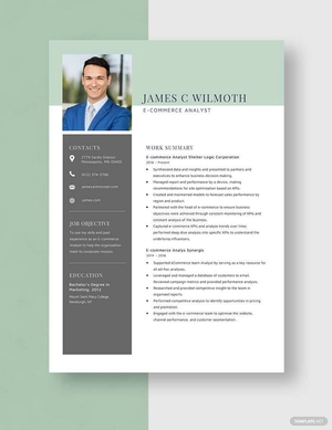 E-commerce Analyst Resume