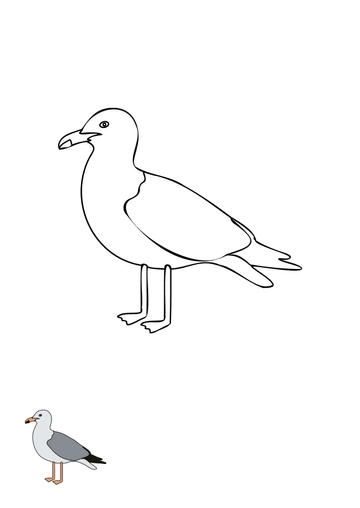 Free Seagull Coloring Page template to Edit Online