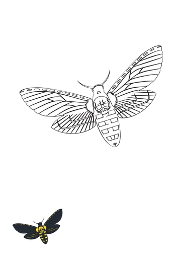 Free Deaths Head Hawk moth Coloring Page Template to Edit Online