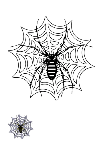 Free Spider Web Coloring Page Template to Edit Online