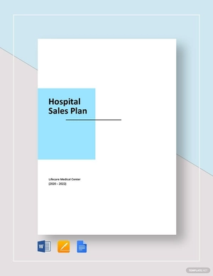 Hospital Sales Plan Template