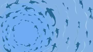 Free Blue Water Background Template to Edit Online